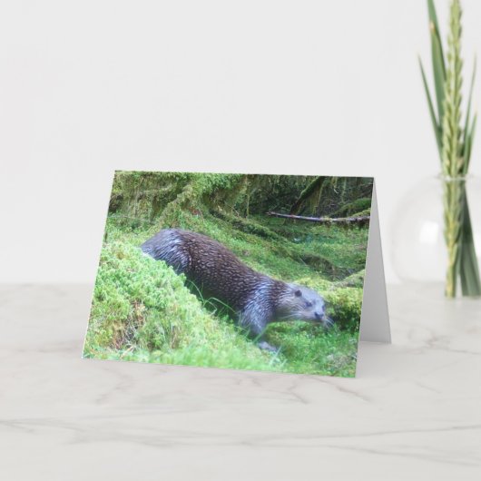 穏やかなカワウソの川辺野生生物自然シーン カード (正面)