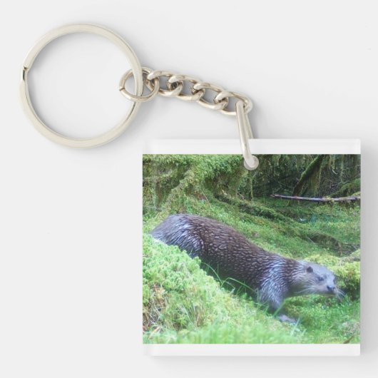 穏やかなカワウソの川辺 自然の風景にインスパイアされて キーホルダー (正面)