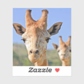 穏やかなキリンの顔が青い空に近づく シール (シート)