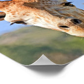 穏やかなキリンの顔が青い空に近づく ポスター (角)