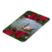 穏やかなグースオブワイルドバラ池 マグネット (左側)