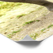 穏やかなサイ ポスター (角)