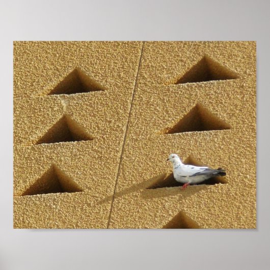 穏やかなハト ポスター (正面)