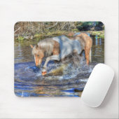 穏やかなパロミノピントス遊タリオンの池 マウスパッド (マウス)