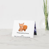 穏やかなパンジーのガーデンカード カード (裏面)