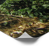 穏やかなビスタ ポスター (角)