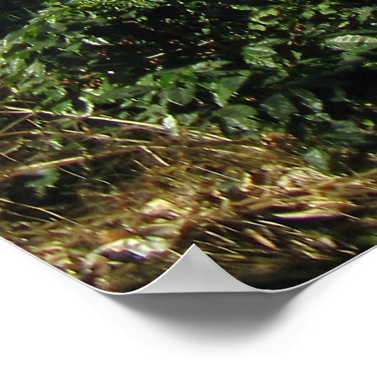 穏やかなビスタ ポスター (角)