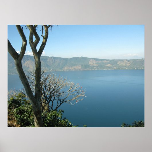 穏やかなビスタ ポスター (正面)