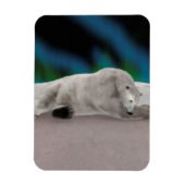 穏やかなホッキョクグマの北極の自然イラスト マグネット (縦)