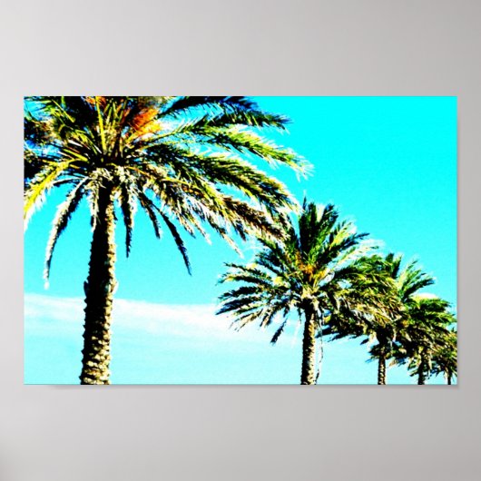 穏やかなヤシ ポスター (正面)