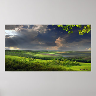 穏やかな午後 ポスター