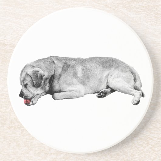 穏やかな口、小さな火花 コースター (正面)