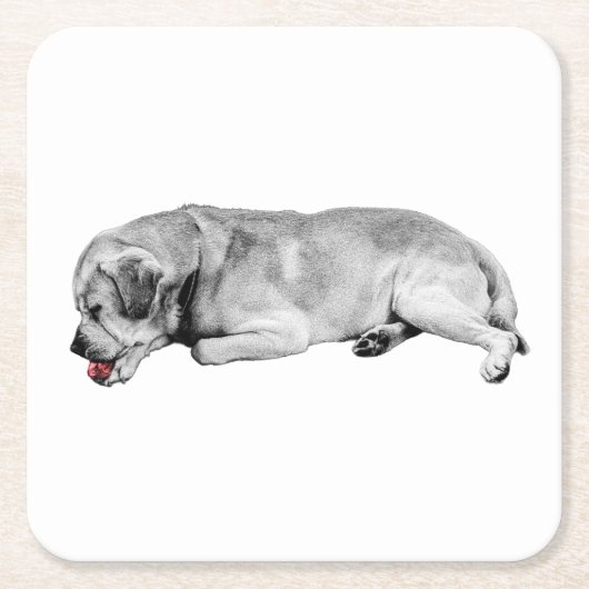 穏やかな口、小さな火花 スクエアペーパーコースター (正面)