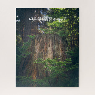 穏やかな夏の森 ジグソーパズル