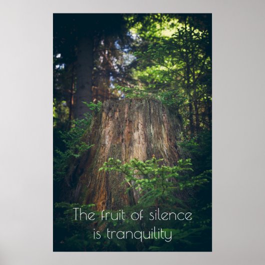 穏やかな夏の森 ポスター (正面)