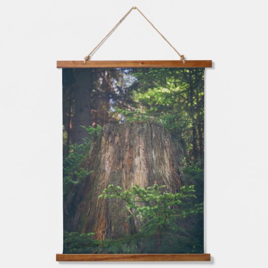 穏やかな夏の森 吊り下げ型タペストリー (正面)