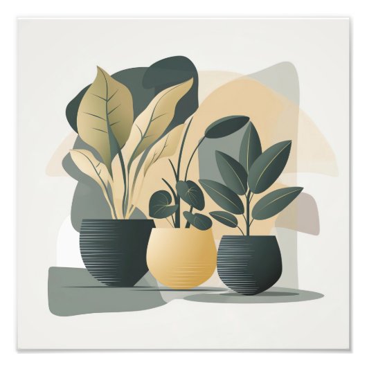 穏やかな多肉植物 フォトプリント            (正面)