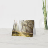 穏やかな太陽の光が差し込む森のクロス記念追悼 カード (正面)