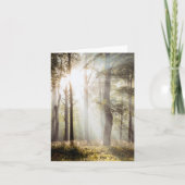 穏やかな太陽の森 カード (正面)