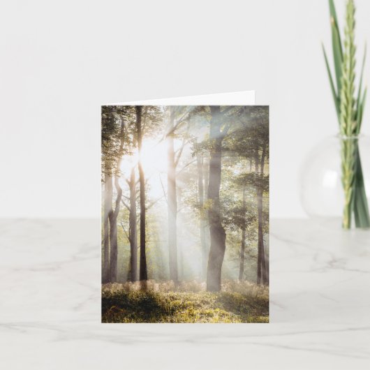 穏やかな太陽の森 カード (正面)