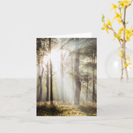 穏やかな太陽の森 カード (黄色い花)