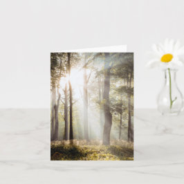 穏やかな太陽の森 カード