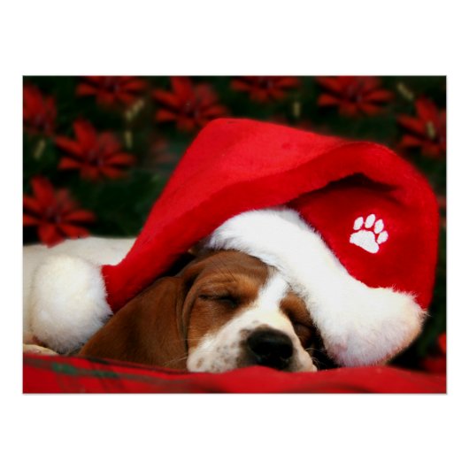 穏やかな子犬 ポスター (正面)