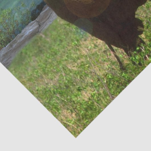 "穏やかな強さ：牛の象の放牧" 薄葉紙 (詳細)