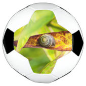 穏やかな愛着 サッカーボール (回転)