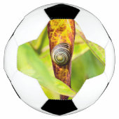 穏やかな愛着 サッカーボール (正面)