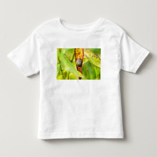 穏やかな愛着 トドラーTシャツ (正面)