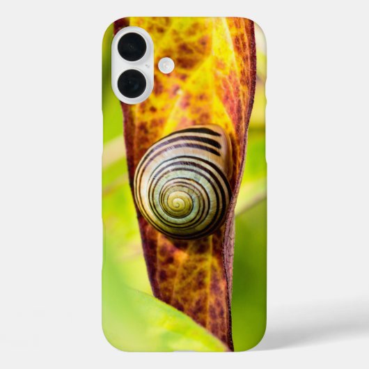 穏やかな愛着 Case-Mate iPhoneケース iPhone 16 Plusケース (裏面)