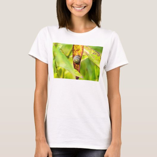 穏やかな愛着 Tシャツ (正面)