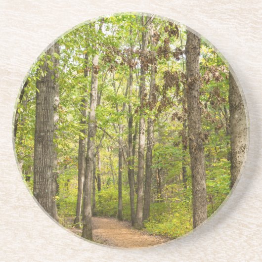 穏やかな散歩 コースター (正面)