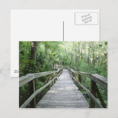 穏やかな散歩 ポストカード (正面/裏面)