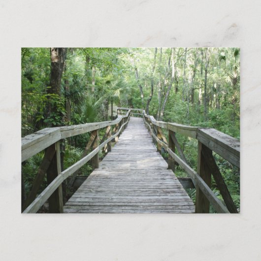 穏やかな散歩 ポストカード (正面)