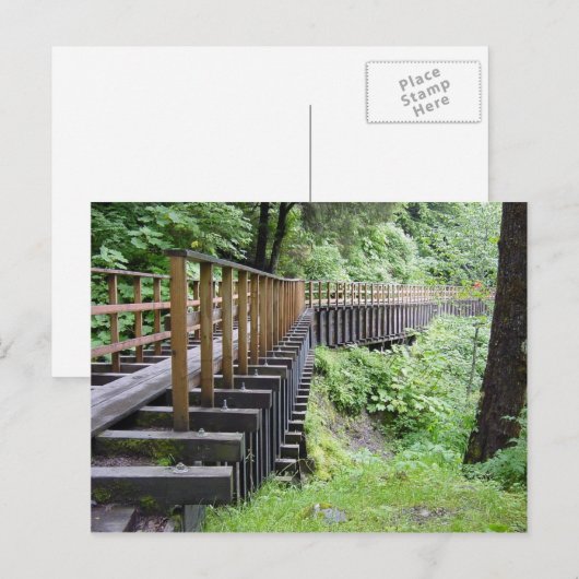 穏やかな散歩 ポストカード (正面/裏面)