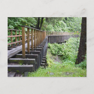 穏やかな散歩 ポストカード