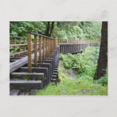 穏やかな散歩 ポストカード (正面)