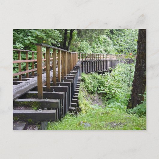 穏やかな散歩 ポストカード (正面)