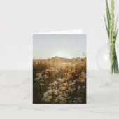 穏やかな日の出の草原 カード (正面)