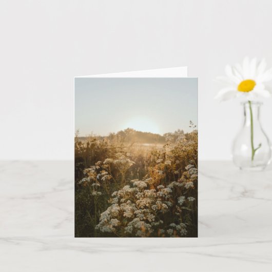 穏やかな日の出の草原 カード (小さな植物)