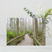 穏やかな日のSwamp Flatグリーティングカード カード (スタンド正面)