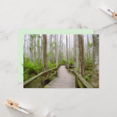 穏やかな日のSwamp Flatグリーティングカード カード (正面/裏面インサイチュ)