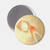 穏やかな日本の金魚 マグネット (正面/裏面)