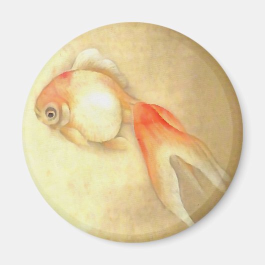 穏やかな日本の金魚 マグネット (正面)