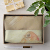 穏やかな日本の金魚 薄葉紙 (ギフト)