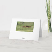 穏やかな日 牛がのんびり過ごす牧場のカード 誕生日おめでとう カード (裏面)