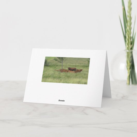 穏やかな日 牛がのんびり過ごす牧場のカード 誕生日おめでとう カード (裏面)