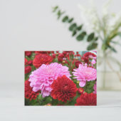 穏やかな朝顔 ポストカード (スタンド正面)